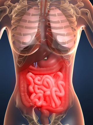 colon irritable como tratarlo para mejor calidad de vida