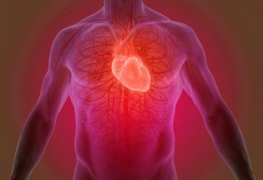 Los nutrientes para tener un corazón más sano