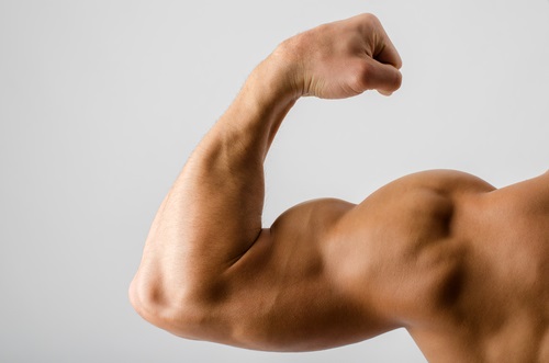 La espinaca aumenta la resistencia muscular
