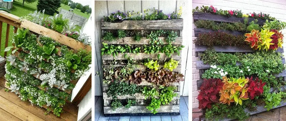 diseño vertical de jardín de hierbas
