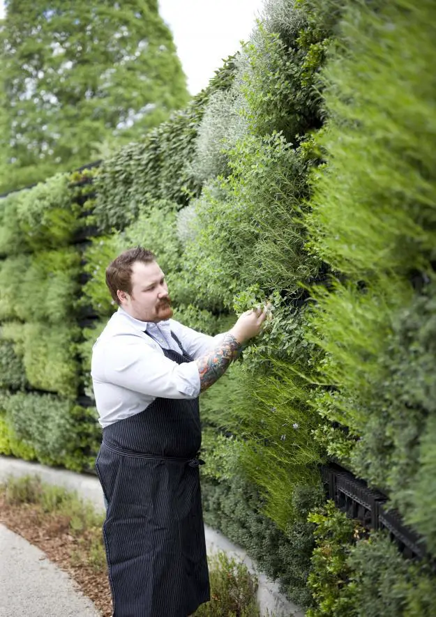 diseño vertical de jardín de hierbas