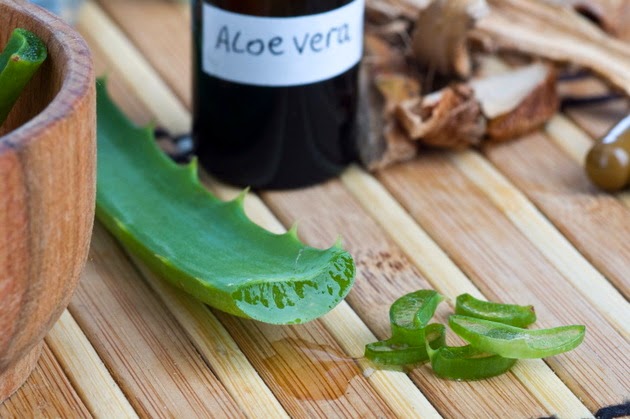 Aloe Vera para tratar la diabetes