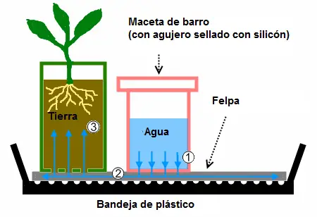 Bandeja de auto riego