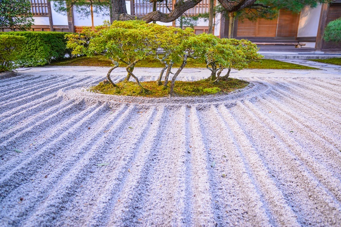 Jardín zen árboles