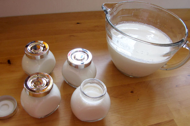 yogur casero y natural