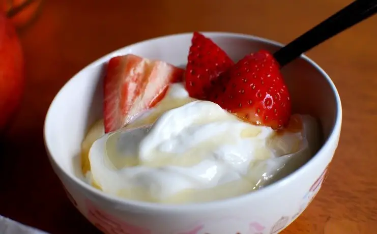 yogur casero en desayuno