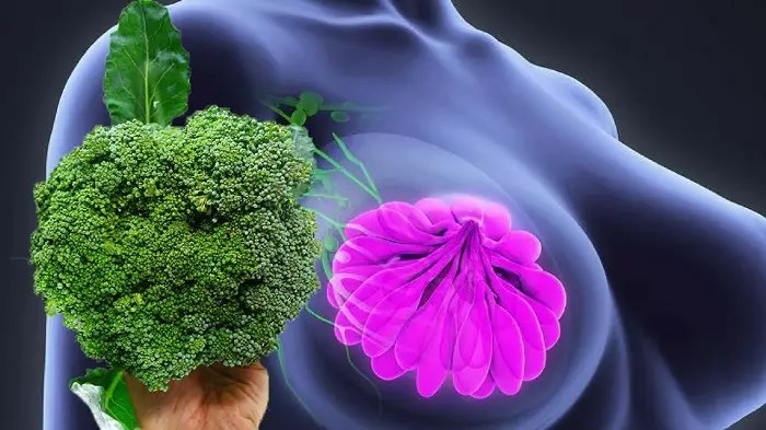 tumores pueden ser prevenidos comiendo brócoli
