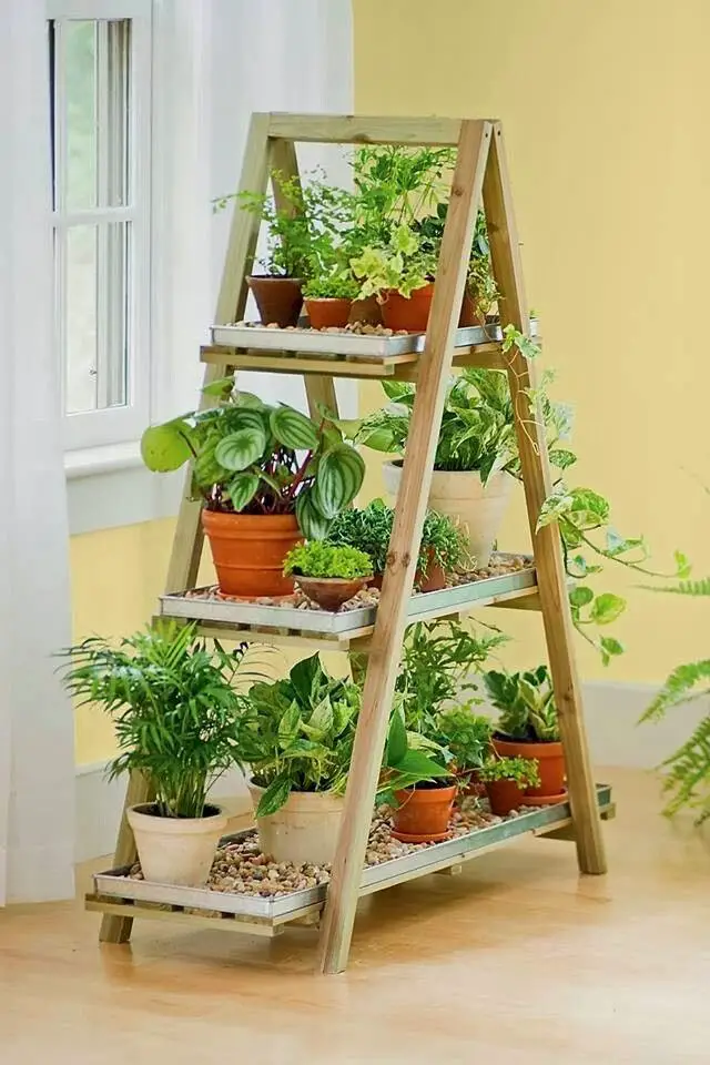 30 Ideas creativas con plantas para decorar tu hogar y jardín