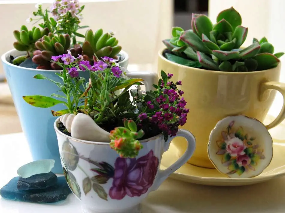 30 Ideas creativas con plantas para decorar tu hogar y jardín