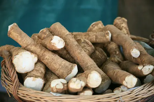 rábano picante vegetales perennes