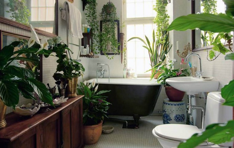 decorar un baño con plantas y detalles acogedores