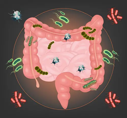 mejorar la piel intestino