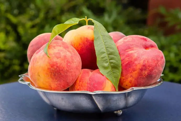 frutas maduras