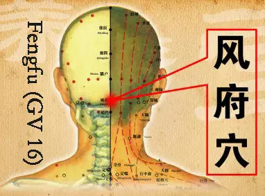 punto feng fu
