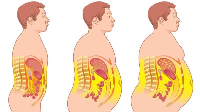 alimentos quemagrasas naturales