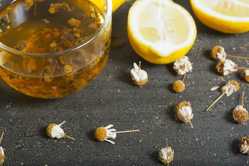 manzanilla para tratar las hemorroides