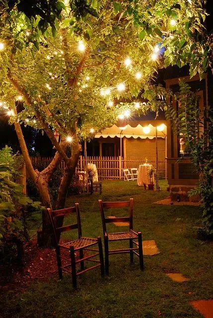 luces árbol jardín decoración