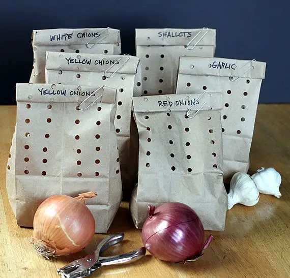 cebollas fuera de la heladera