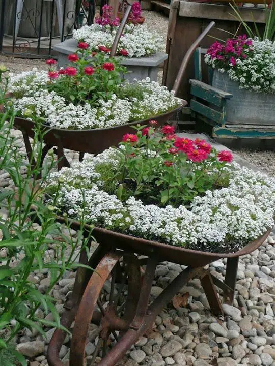 macetas de flores para decorar