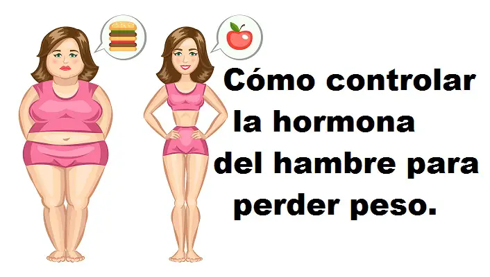 Controlar el hambre Controlar el hambre