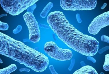 Parásitos en el cuerpo humano