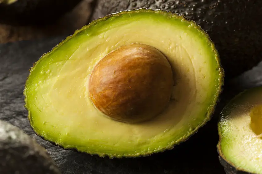 aguacates