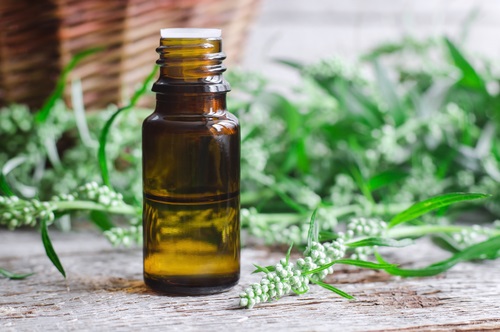 aceite esencial de artemisa
