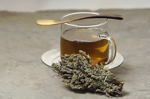 artemisa infusión
