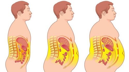 perder grasa del vientre