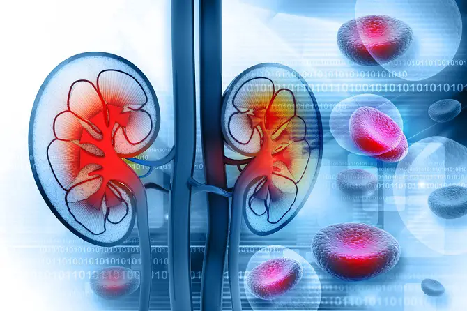 síntomas de la enfermedad renal