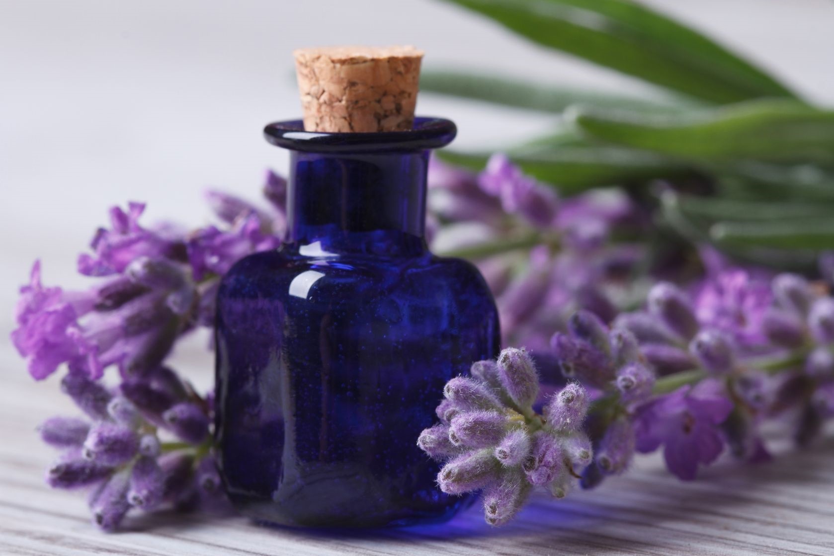 Aceites esenciales de lavanda