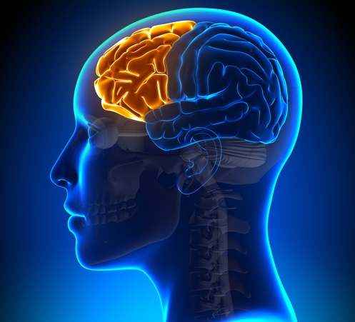 como afecta la diabetes al cerebro