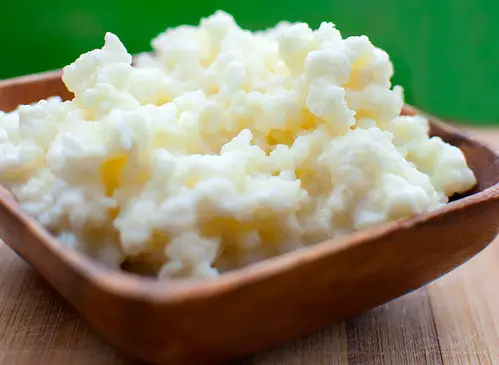 probioticos