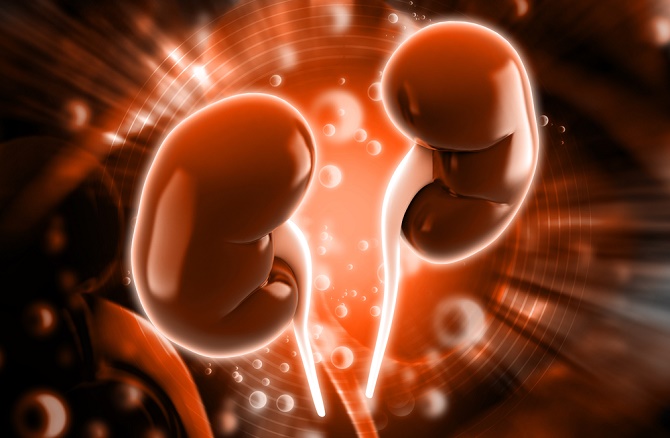 5 señales de un riñón dañado y enfermo que no debes ignorar