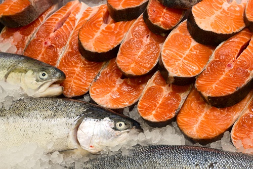 salmón comercial