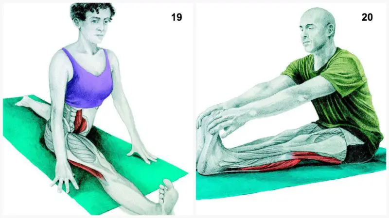 estiramientos musculares split frontal