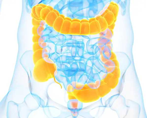limpiar el colon de residuos tóxicos