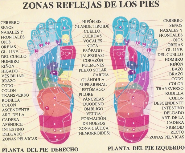 mapa reflexología almohadillas para pies