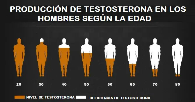 testosterona niveles