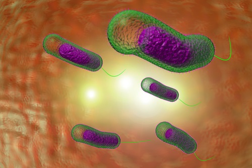 toxinas en el colon