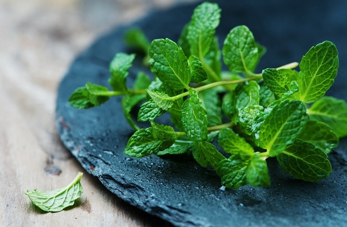 menta para tratar síntomas de cáncer