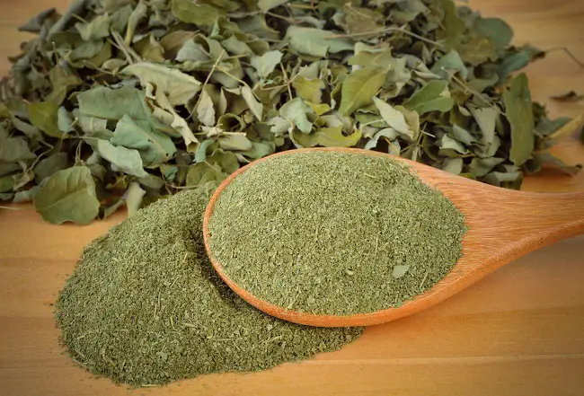 presentación de la moringa con sus hojas molidas