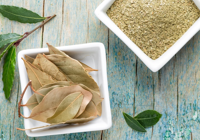 repeler-cucarachas-con-hojas-de-laurel