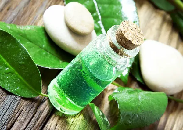 aceite-de-arbol-de-te-para-acne-en-la-espalda