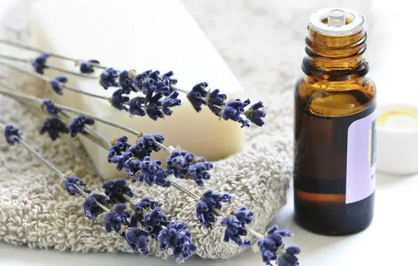 desvanecer arrugas en los ojos con aceite de lavanda