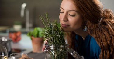 Inciensos y hierbas para eliminar los insectos