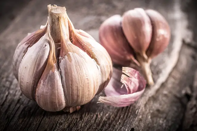 Ajos para preparar una cura para la artritis reumatoide