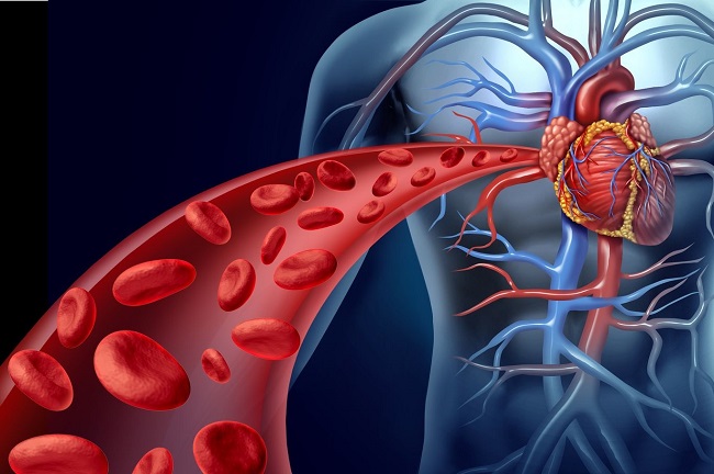 caminata diaria apoya la salud del corazón
