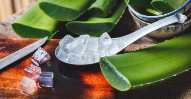 Preparando una receta con aloe vera