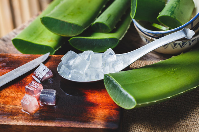 Preparando una receta con aloe vera